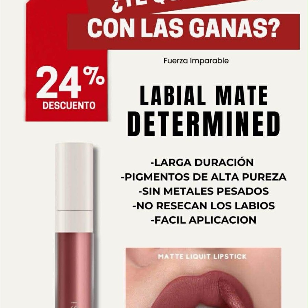 Farmasi Determined Matte Lipstick - Bold Burgundy